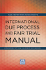 Cover of International Due Process and Fair Trial Manual