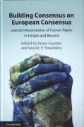 Cover of Building Consensus on European Consensus: Judicial Interpretation of Human Rights in Europe and Beyond