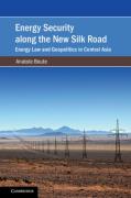 Cover of Energy Security along the New Silk Road: Energy Law and Geopolitics in Central Asiaitics in Central Asia