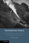 Cover of Prohibited Force: The Meaning of &#8216;Use of Force' in International Law