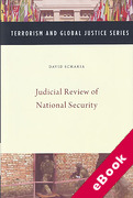 Cover of Judicial Review of National Security (eBook)