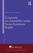 Cover of Corporate Accountability Under Socio-Economic Rights