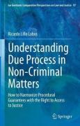 Cover of Understanding Due Process in Non-Criminal Matters: How to Harmonize Procedural Guarantees with the Right to Access to Justice